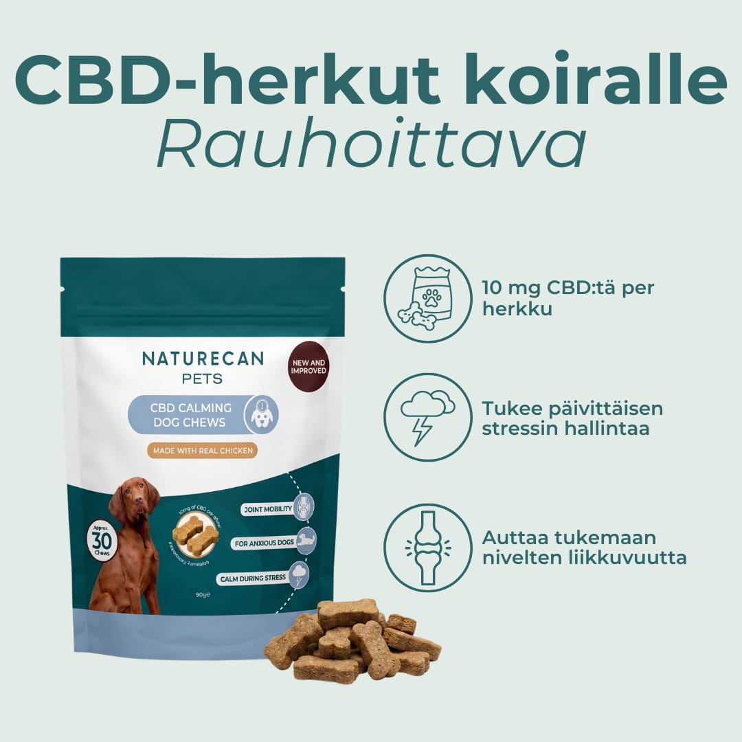 CBD-herkut koiralle rauhoittava