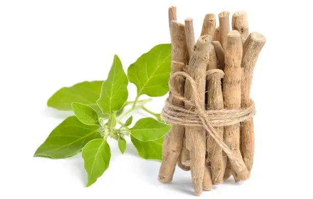 Ashwagandha vs. Ruusujuuri