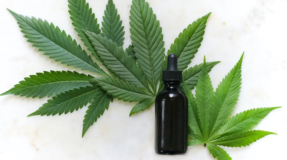 kannabinoidit