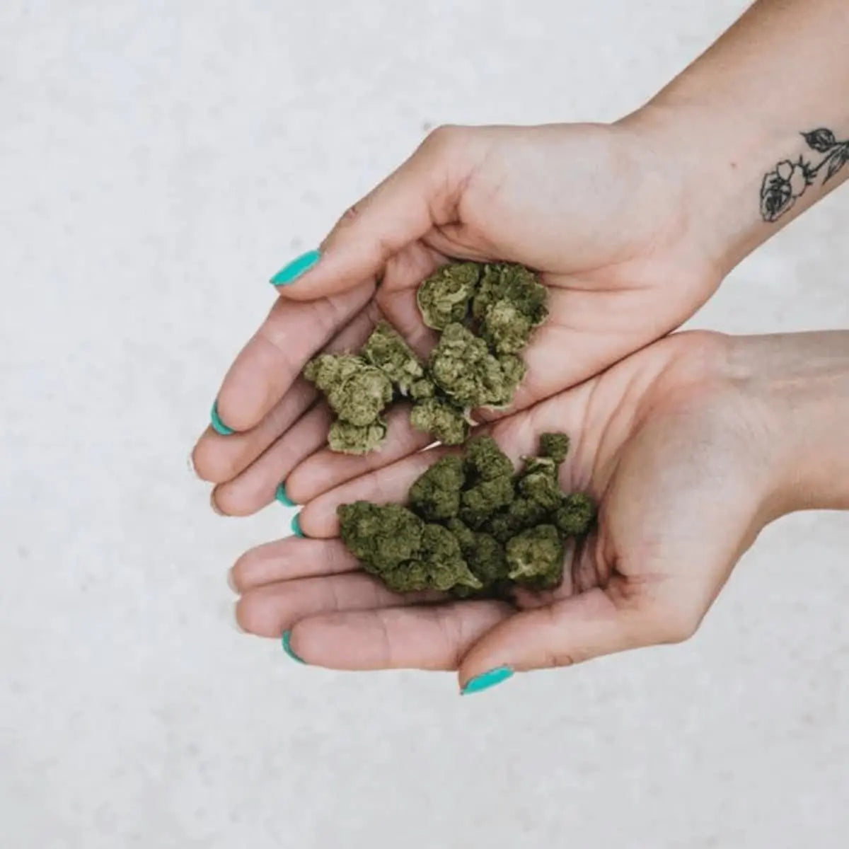 CBD-Kukka