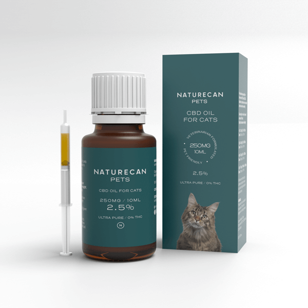 CBD-Öljy Kissalle