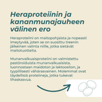 kananmunajauhe tai hera