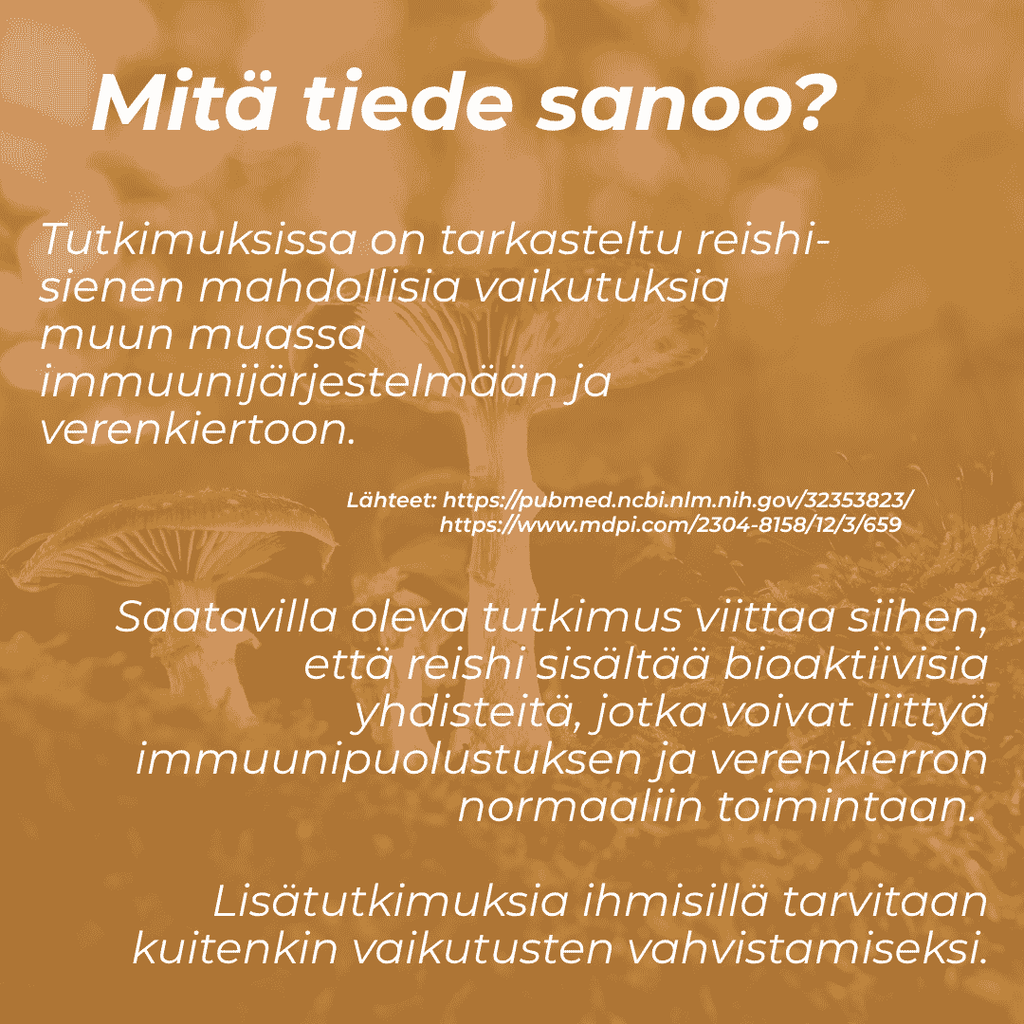 Reishi karkit ja verenkierto
