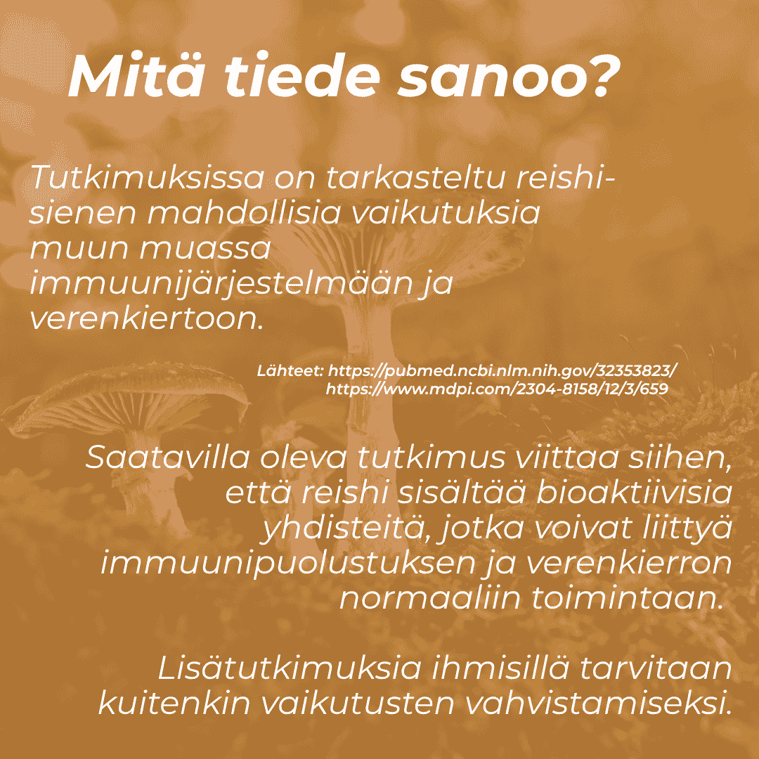 Reishi karkit ja verenkierto