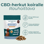 CBD-herkut koiralle rauhoittava