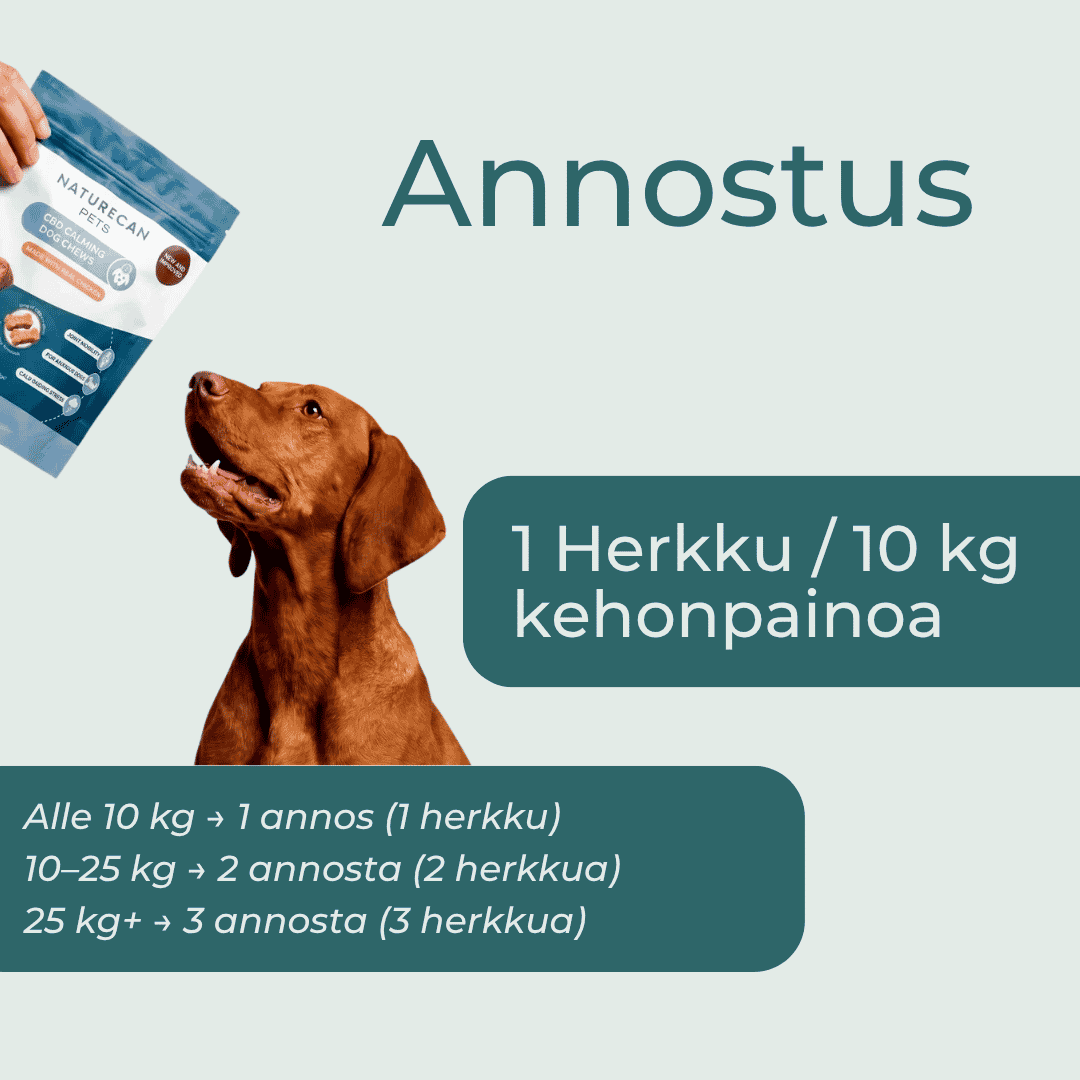 cbd koiralle annostus