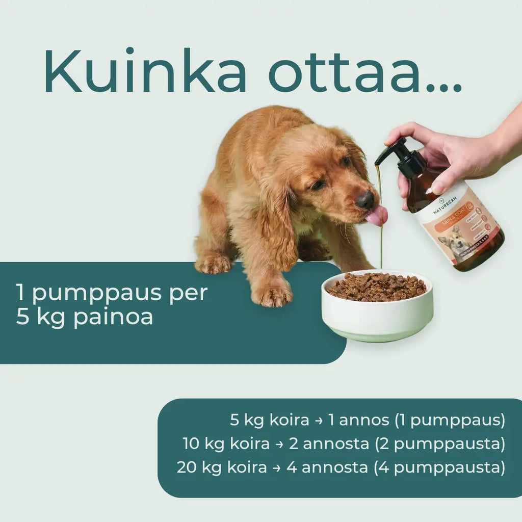 Lohiöljy koiralle annostus