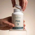 PQQ ravintolisä Naturecan