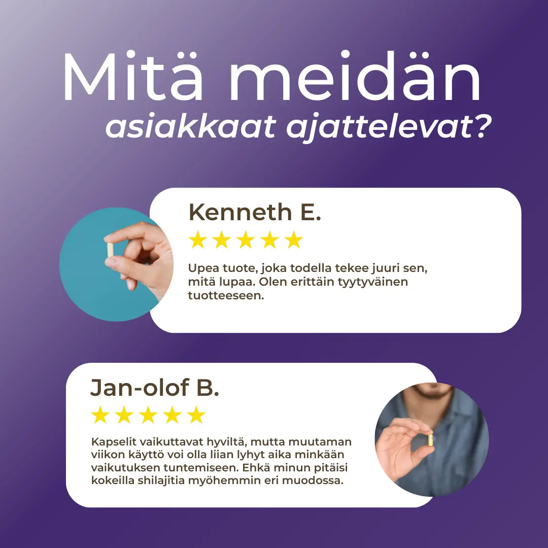 shilajit kokemuksia