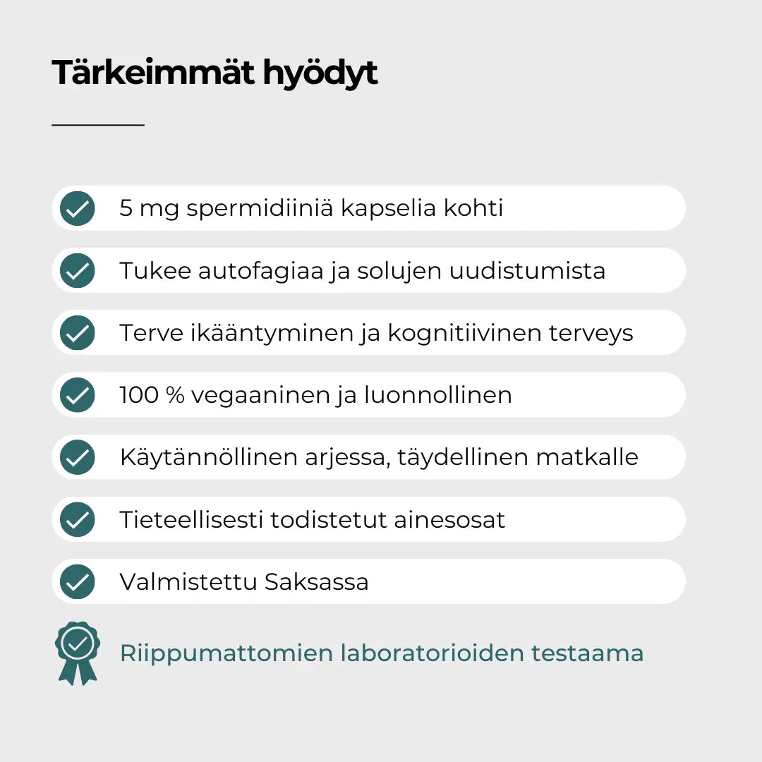 Spermidiini hyödyt