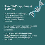 NAD+ ja TMG