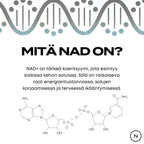 Mitä NAD on?